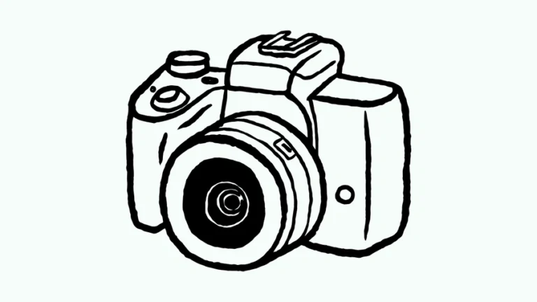 Best Cameras for Beginners
